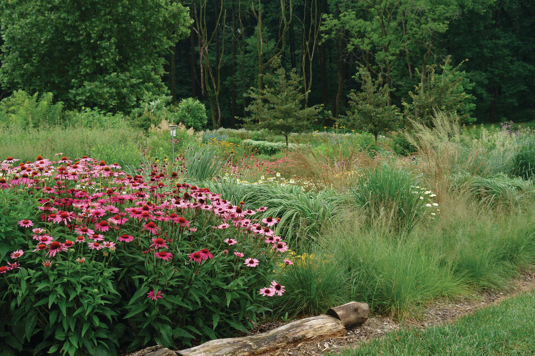 Style Rooted in Nature